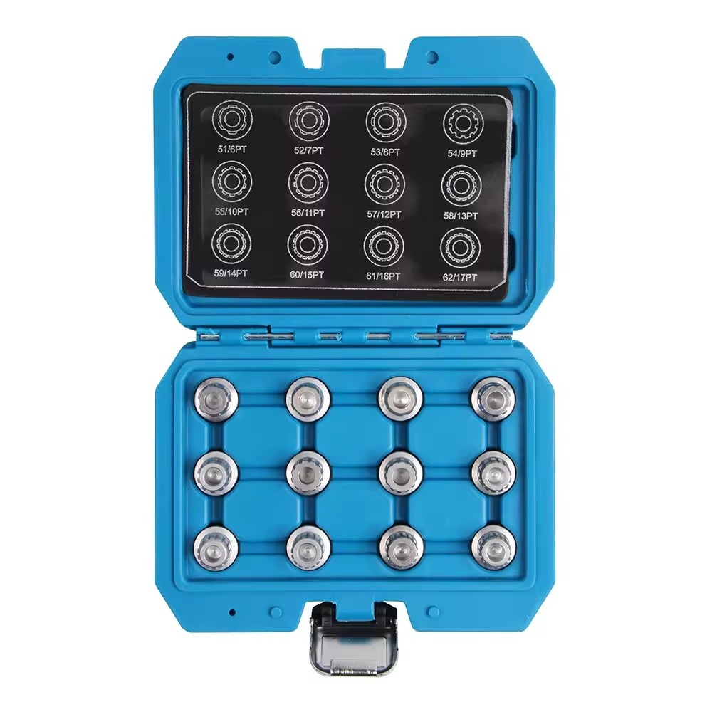 12PCS Wheel lock Screw Socket Set -VW