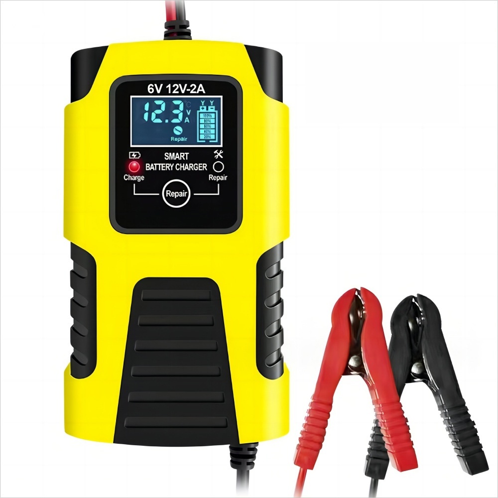 6V/12V/24V Smart Battery Charger