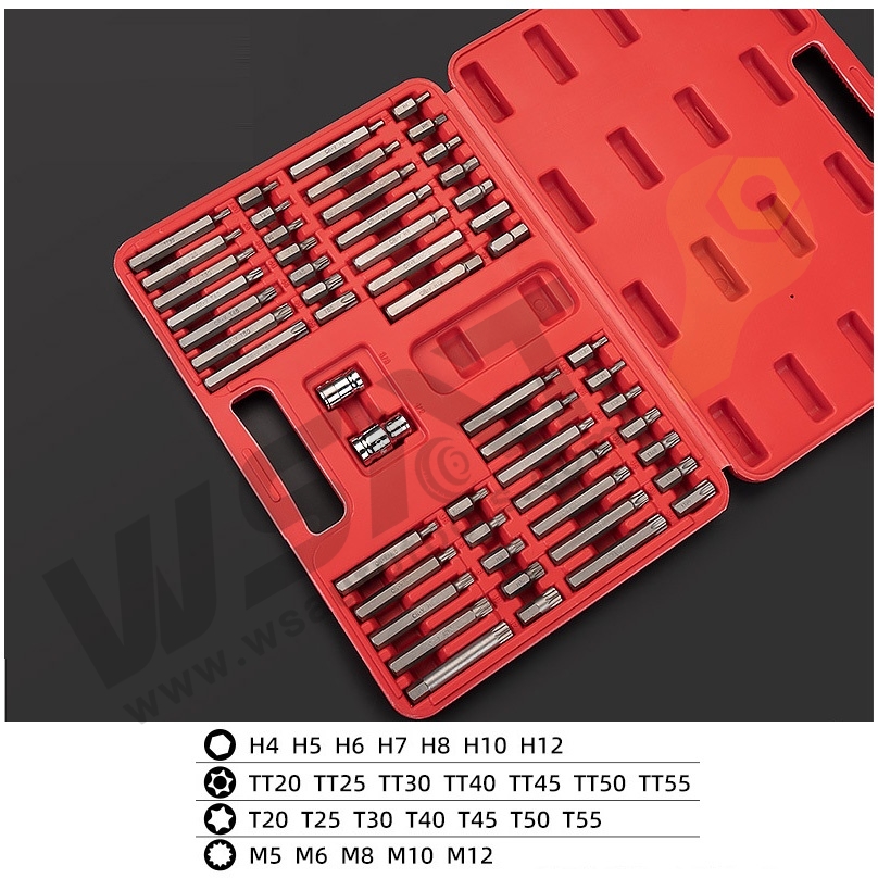 54pcs Torx Bit Set 3/8"&1/2"Dr