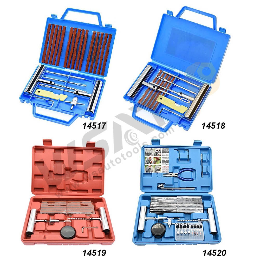 Tire Repair Tool Kit with Plastic Blow Case