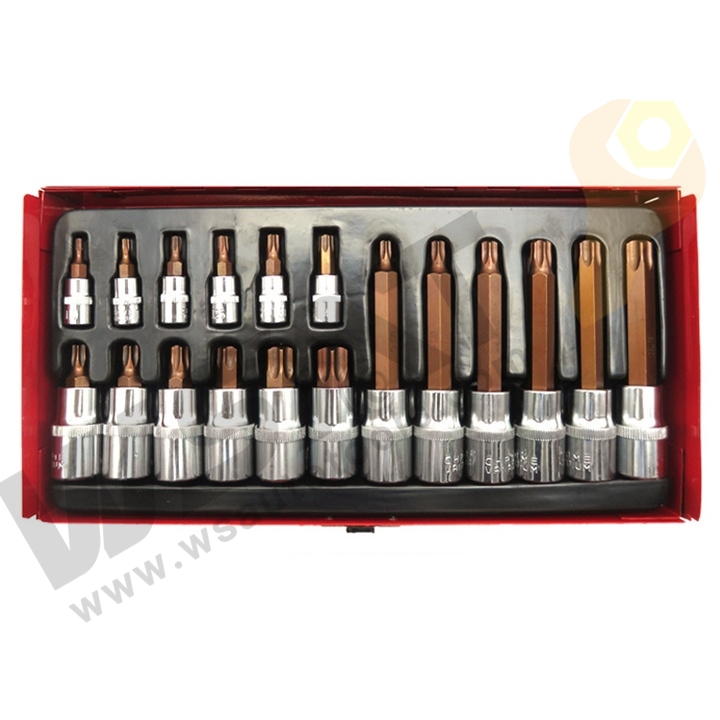 18pcs Torx Bit Set 1/4"&1/2"Dr