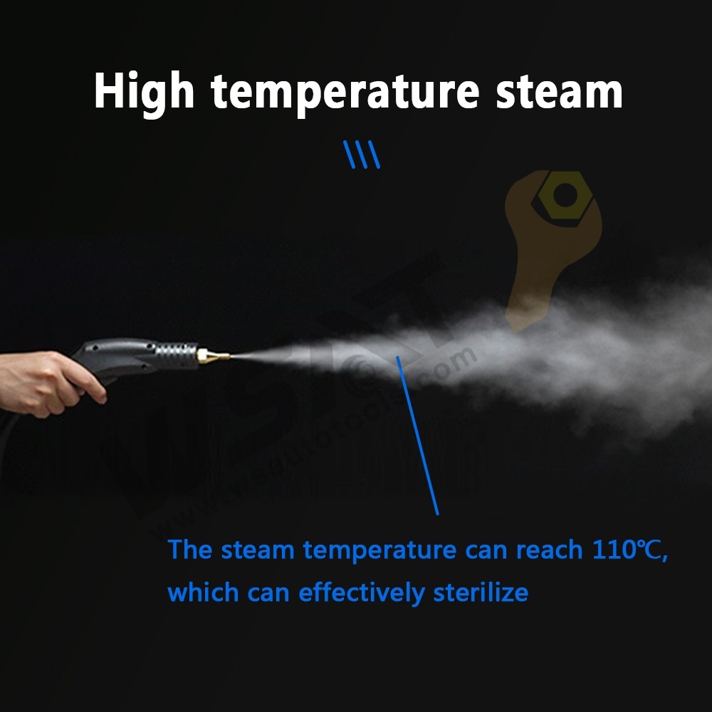 3000W Car Cleaning Machine Air Conditioner High Temperature Portable Pressure Steam Cleaner