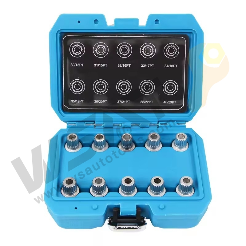 10PCS Wheel lock Screw Socket Set -BMW