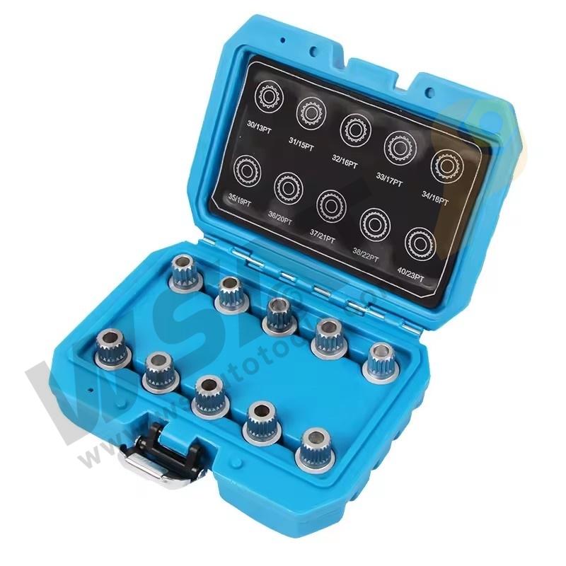 10PCS Wheel lock Screw Socket Set -BMW