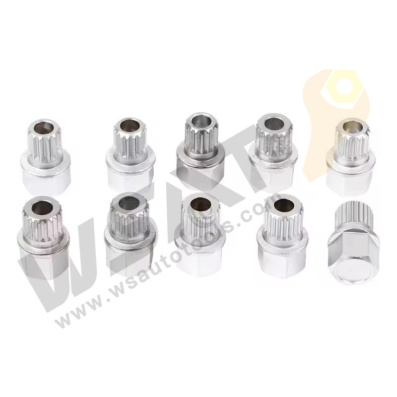 10PCS Wheel lock Screw Socket Set -BMW