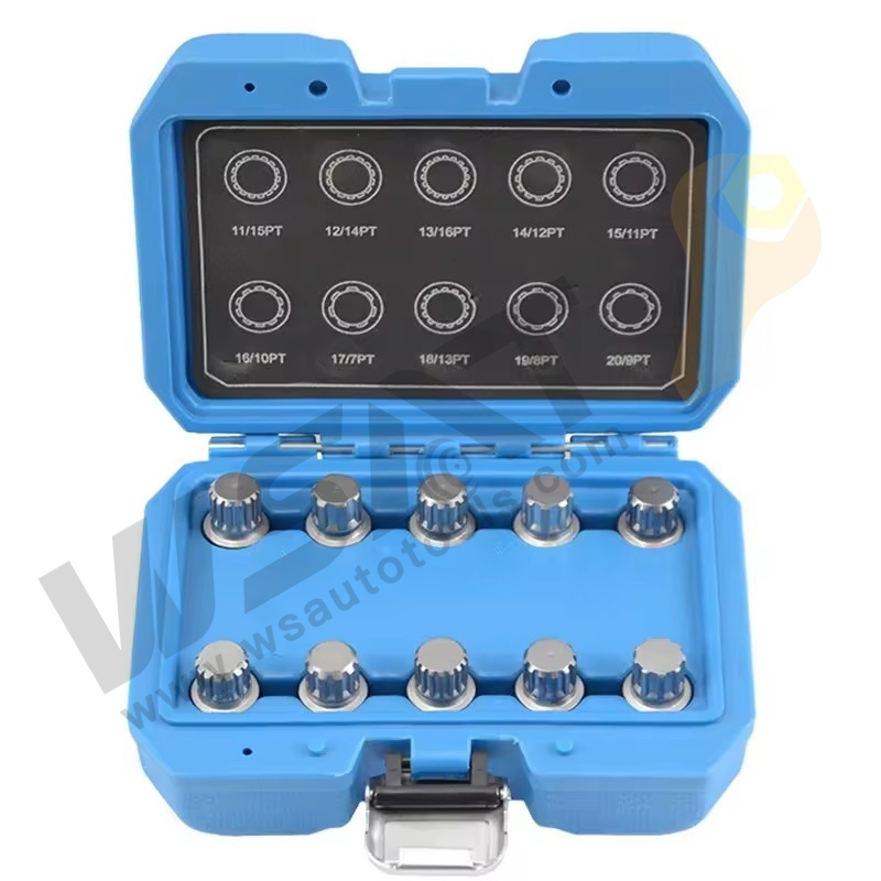 10PCS Wheel lock Screw Socket Set -BMW