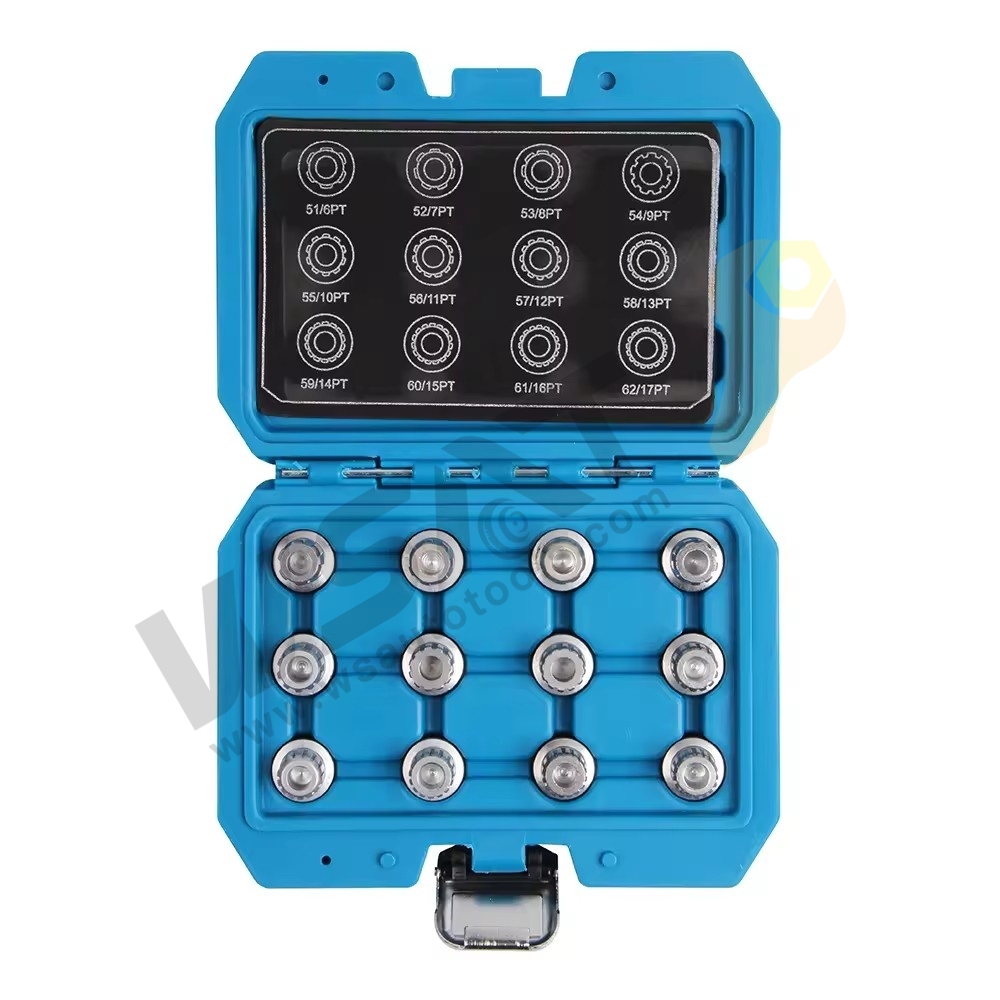12PCS Wheel lock Screw Socket Set -VW