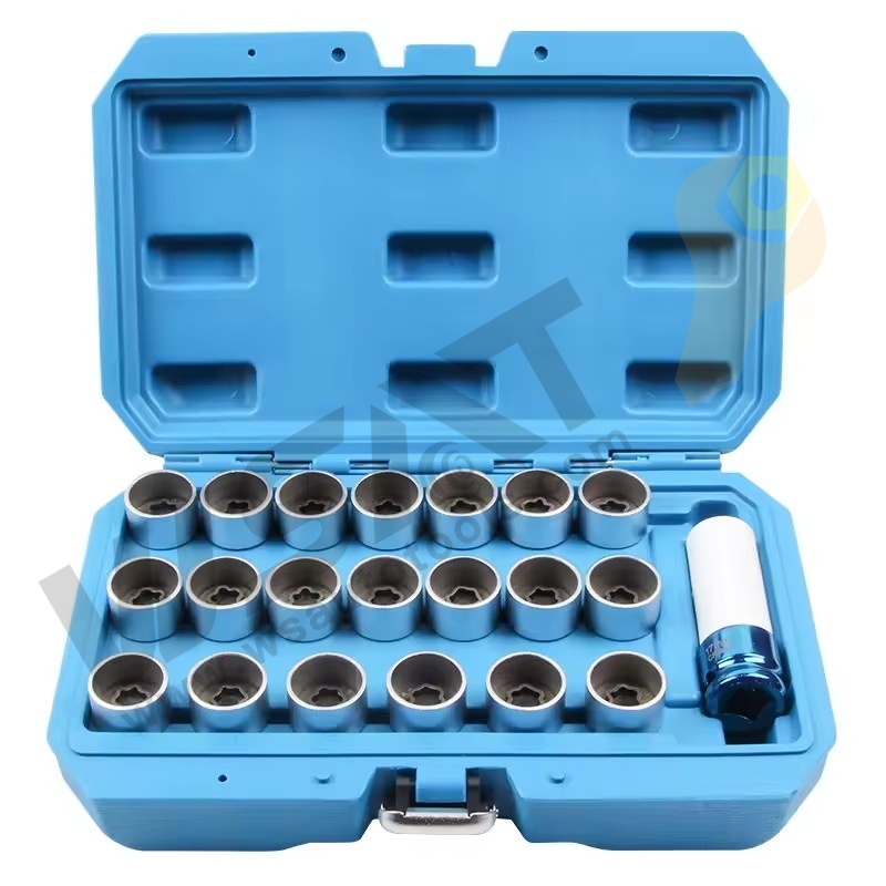 21PCS Locking Wheel Nut Stud Remover Tool Kit-BMW/AUDI/VAG