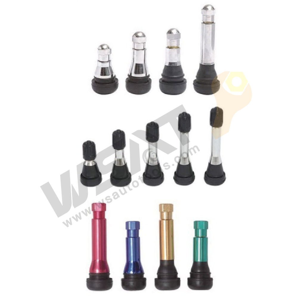 Snap-in Car Tire Valve